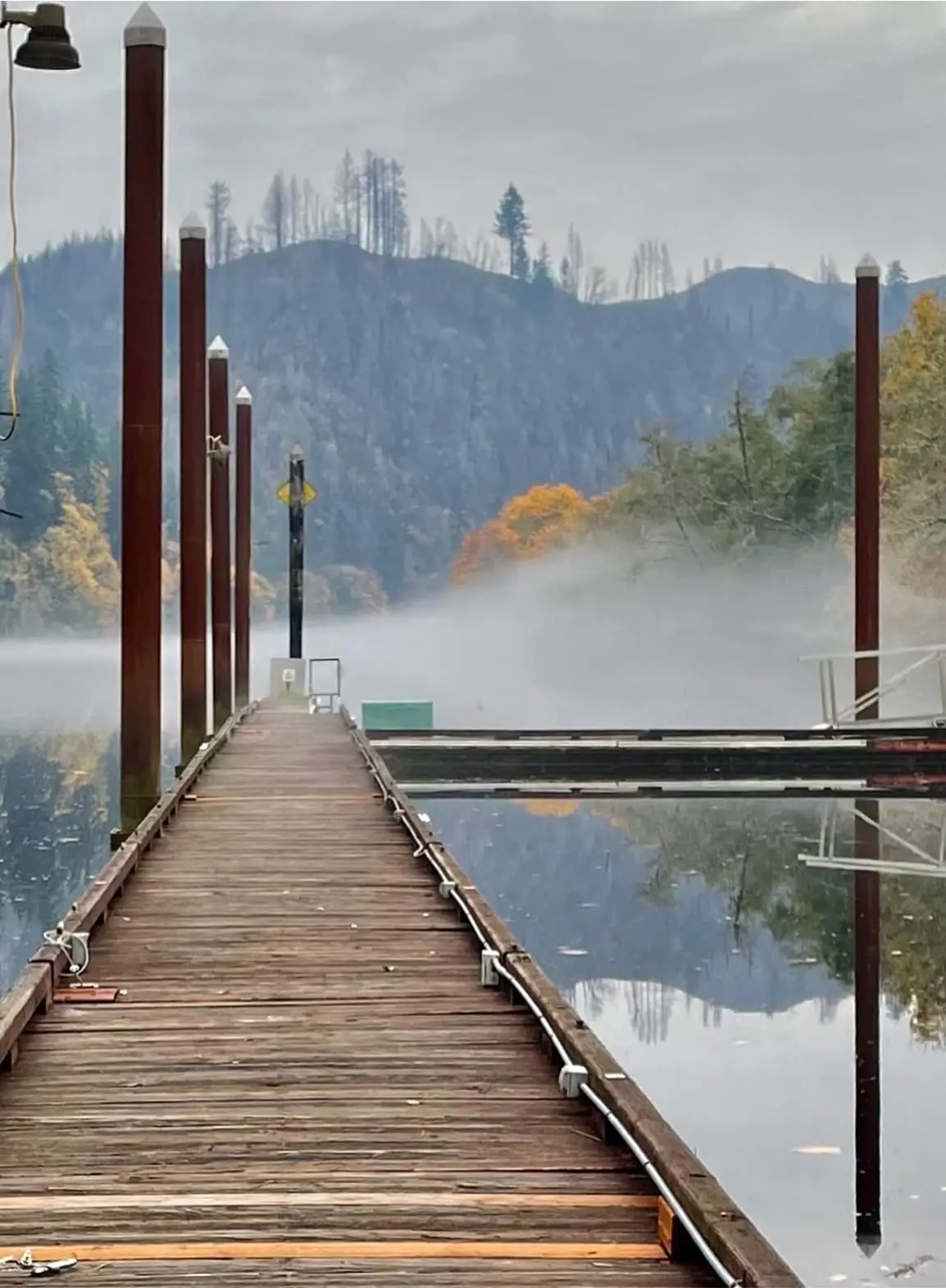 A long wooden dock extends into a misty body of water, with forested hills and a vibrant orange tree in the background.