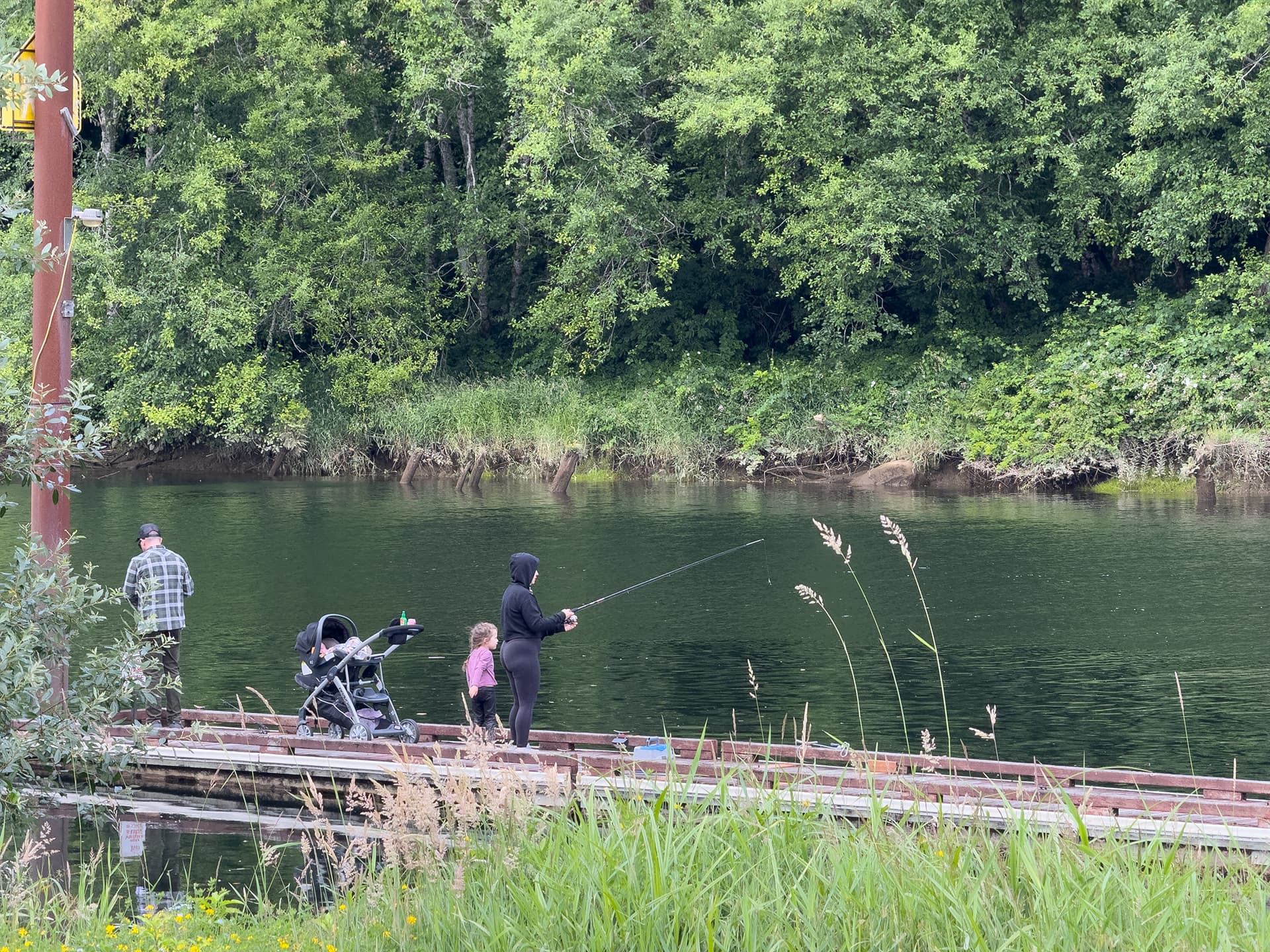 A family fishes from a wooden dock on a calm river, surrounded by lush green trees and tall grass on the bank.