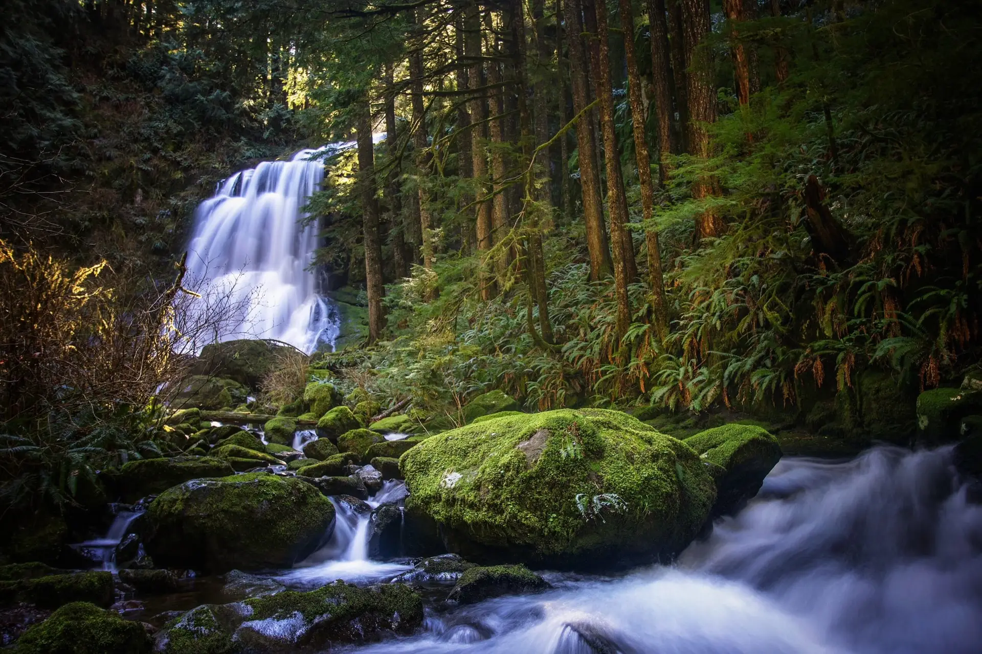 A majestic waterfall cascades into a rocky, moss-covered stream in a lush forest, with tall trees reaching towards the sun.
