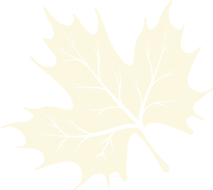 A stylized light yellow maple leaf with prominent dark veins, set against a black background, suggesting a logo or emblem.